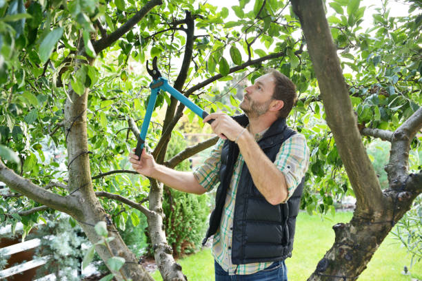 Best Tree Risk Assessment  in Port Barrington, IL